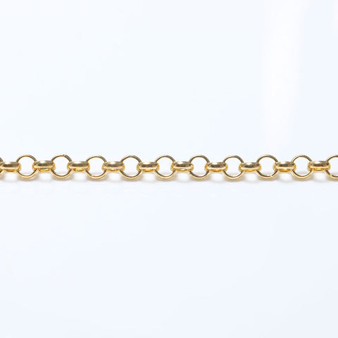 Chanel Chanel Perfume Bottle Coco Parfume Collier Gold WS10285