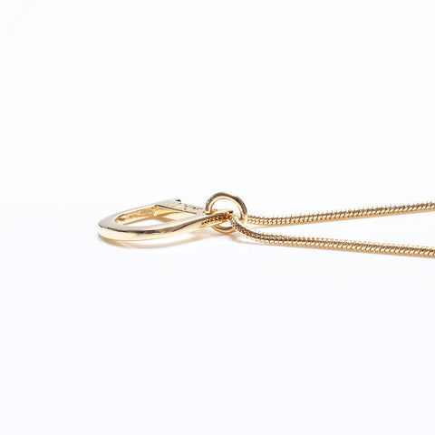 Christian Dior D徽标复古徽标图案项链金WS10720