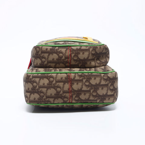 克里斯蒂安·迪奥特（Christian Dior Trotter）Rasta肩带多色WS10995