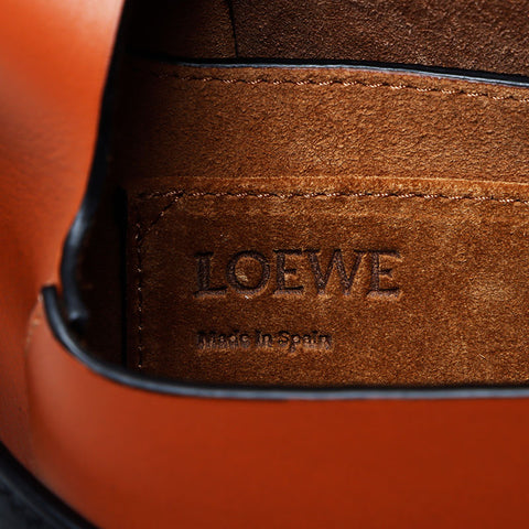 Loewe Rainbow Gate迷你肩带多色WS11089
