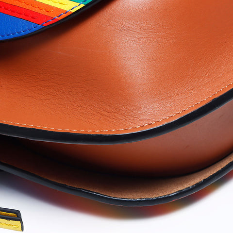 Loewe Rainbow Gate迷你肩带多色WS11089
