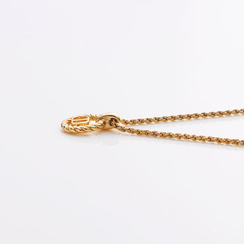 基督教Dior CD徽标项链黄金WS11321