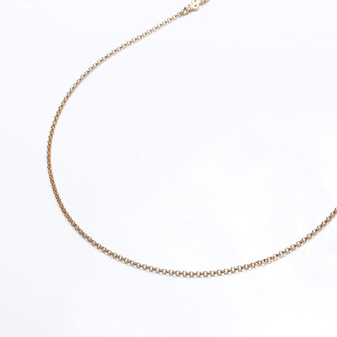 Christian Dior CD logo Necklace gold WS13228