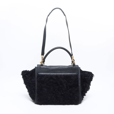 CELINE Trapeze Leather Boa 2024-2025 Shoulder Bag black WS14547