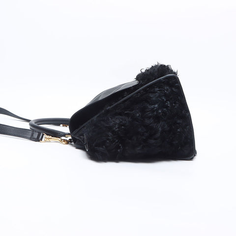 CELINE Trapeze Leather Boa 2024-2025 Shoulder Bag black WS14547