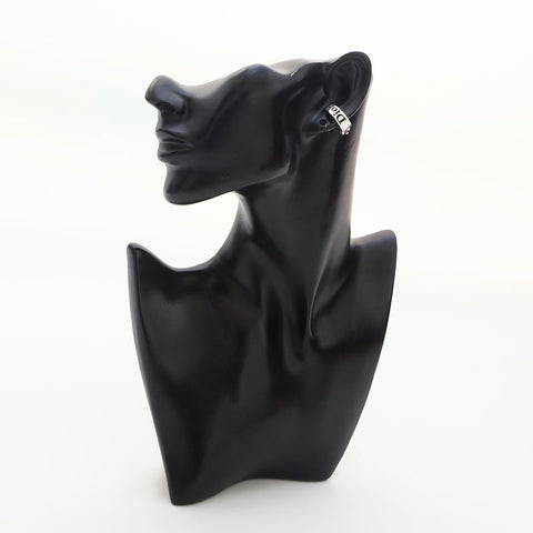 Christian Dior 1990-2000s logo Earring Silver WS14964