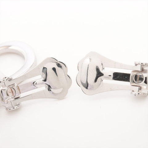 Christian Dior CD logo Earring Silver WS15304