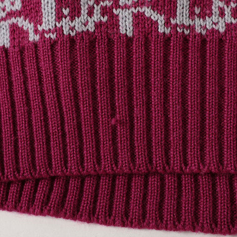 Christian Dior M Trotter Wool knit pink WS16204