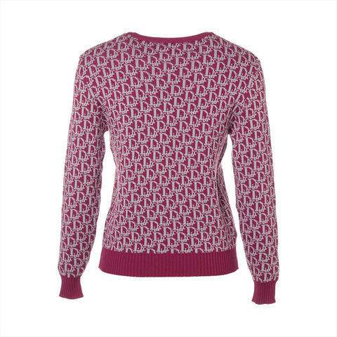 Christian Dior M Trotter Wool knit pink WS16204