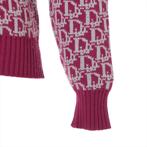 Christian Dior M Trotter Wool knit pink WS16204