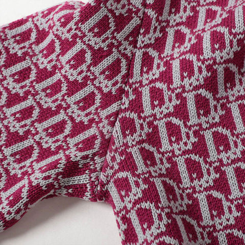 Christian Dior M Trotter Wool knit pink WS16204