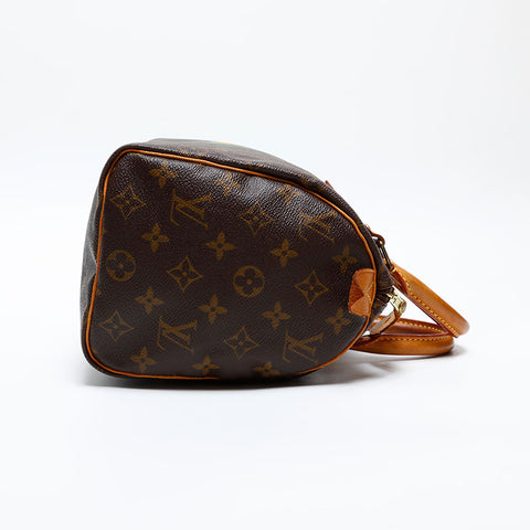 LOUIS VUITTON 2009 Monogram Speedy 25 Handbag Brown WS20072