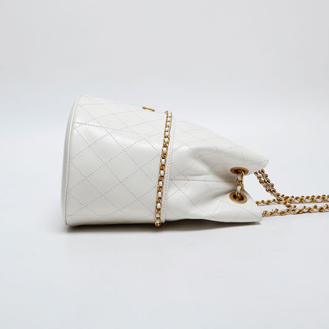 CHANEL 2025 Cruise Bucket Bag in Leather Chain Shoulder Bag white WS20352