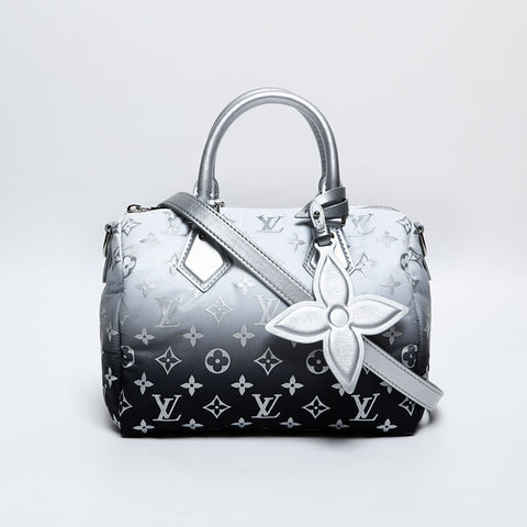 LOUIS VUITTON Monogram SKI Speedy Bandouliere 25 Boston bag Silver WS20362
