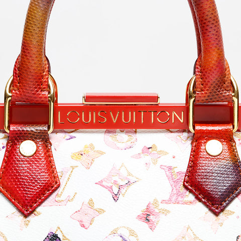 LOUIS VUITTON 2006 Monogram Watercolor Speedy 30 Handbag white WS20560