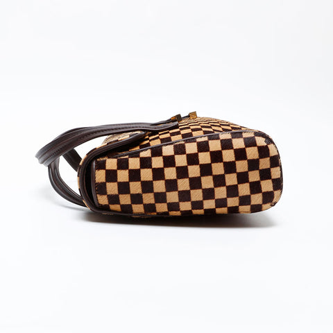 LOUIS VUITTON Damier Sauvage Lion Handbag Brown WS20660