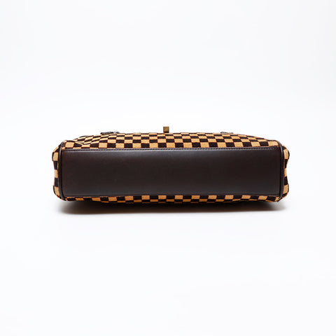 LOUIS VUITTON Damier Sauvage Lion Handbag Brown WS20660
