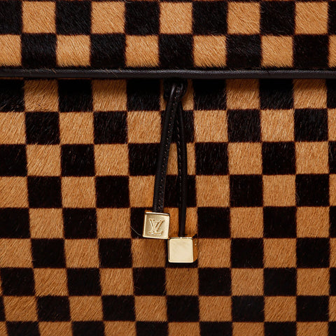 LOUIS VUITTON Damier Sauvage Lion Handbag Brown WS20660