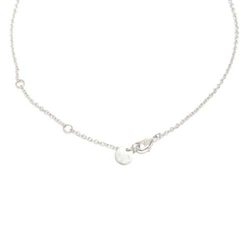 Christian Dior CD logo Necklace Silver WS21738