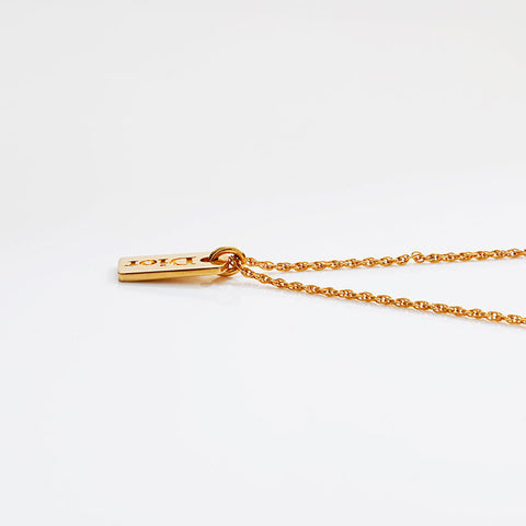 Christian Dior Logo plate Necklace gold WS21890