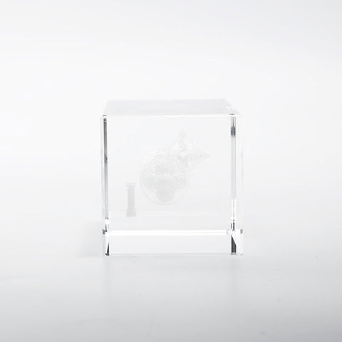 Louis Vuitton Paper Weight对象清除WS22121
