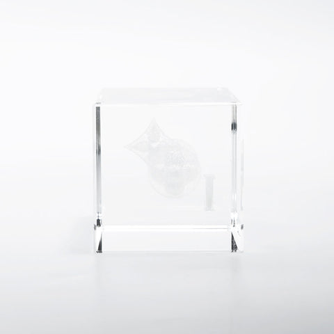 Louis Vuitton Paper Weight对象清除WS22121