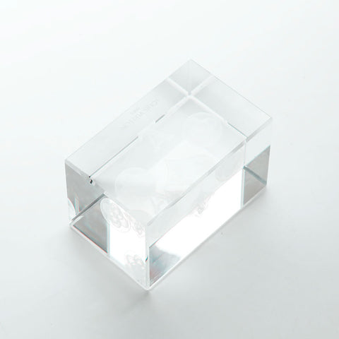 Louis Vuitton Paper Weight对象清除WS22121