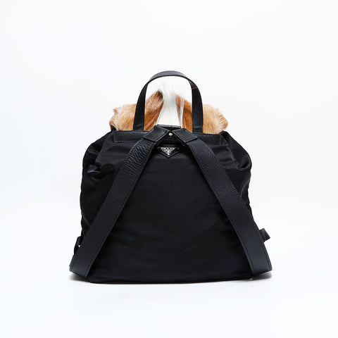 PRADA Gazelle Fur Nylon Backpack  Daypack black WS22882