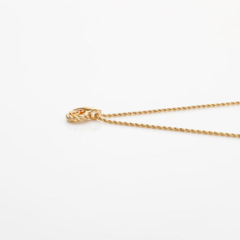 Christian Dior CD 标志项链 金色 WS22923