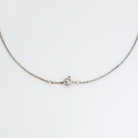 TIFFANY&Co. Apple 925 Necklace Silver WS23244