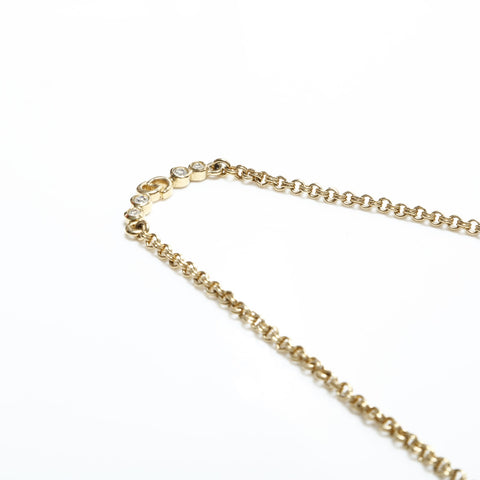 Christian Dior CD logo Necklace gold WS23366