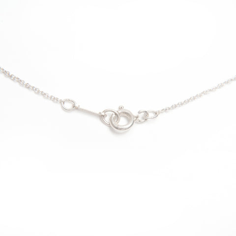 TIFFANY&Co. 925 Elsa Peretti Necklace Silver WS23997