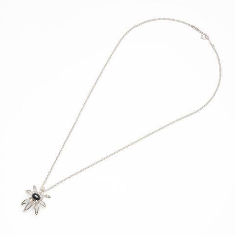 TIFFANY&Co. Onyx Fireworks 925 Necklace Silver WS24017