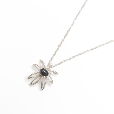 TIFFANY&Co. Onyx Fireworks 925 Necklace Silver WS24017