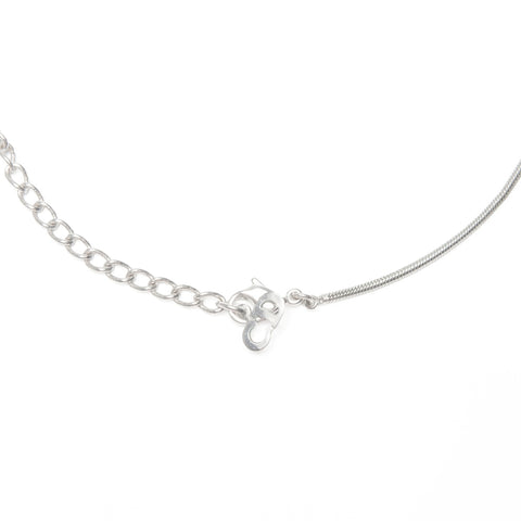 Christian Dior CD logo Necklace Silver WS24067