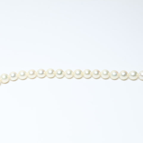 TASAKI Akoya Pearl 0.3" 58 pieces Necklace white WS24160