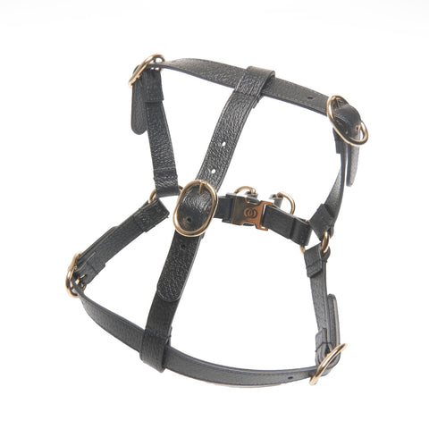 GUCCI Leather pet harness size M Other accessories black WS24396