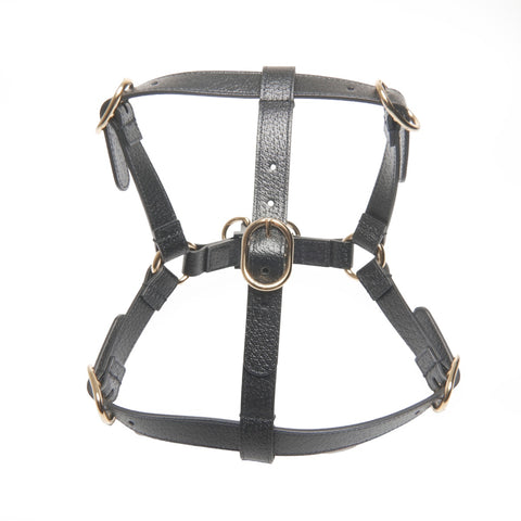 GUCCI Leather pet harness size M Other accessories black WS24396