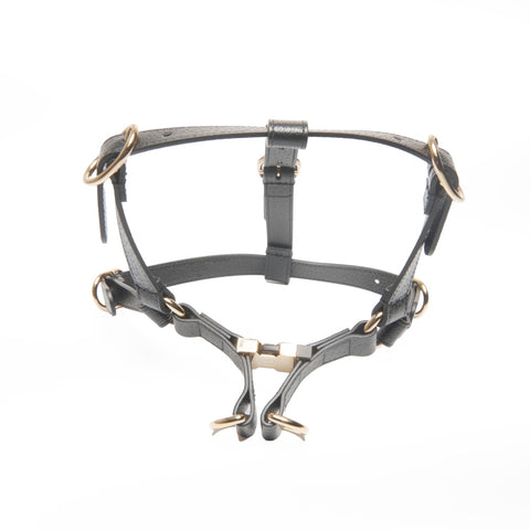 GUCCI Leather pet harness size M Other accessories black WS24396