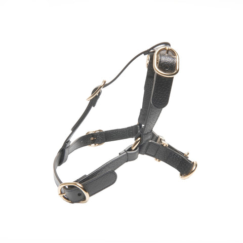 GUCCI Leather pet harness size M Other accessories black WS24396