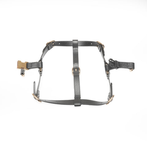 GUCCI Leather pet harness size M Other accessories black WS24396