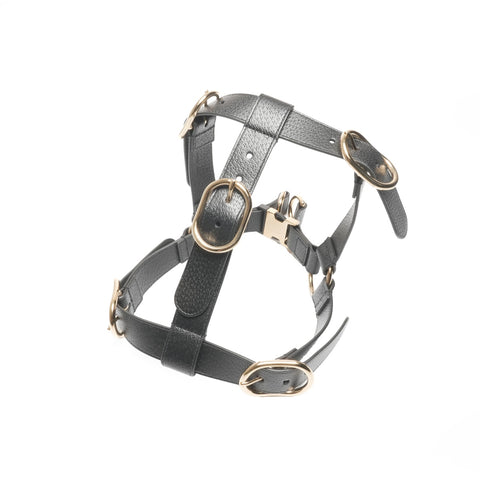 GUCCI Leather pet harness size L Other accessories black WS24397