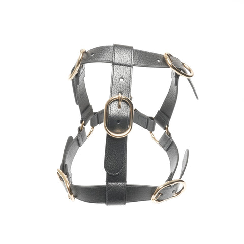 GUCCI Leather pet harness size L Other accessories black WS24397