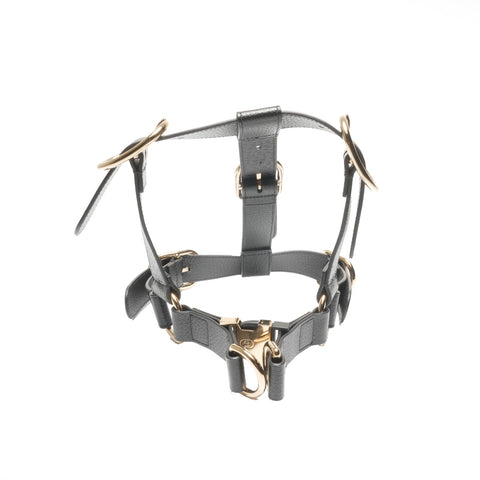 GUCCI Leather pet harness size L Other accessories black WS24397