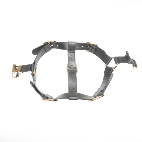 GUCCI Leather pet harness size L Other accessories black WS24397