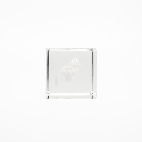 LOUIS VUITTON Randy Crystal Paperweight Other accessories clear WS24432