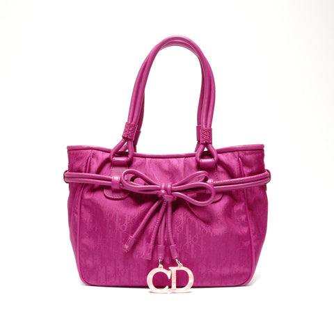Christian Dior Lovely Canvas Trotter Handbag pink WS24623