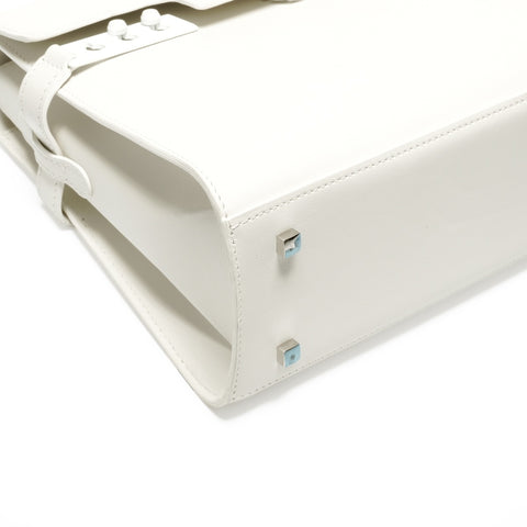 Delvaux Tempete MM Leather 2-way Bag Handbag white WS24635