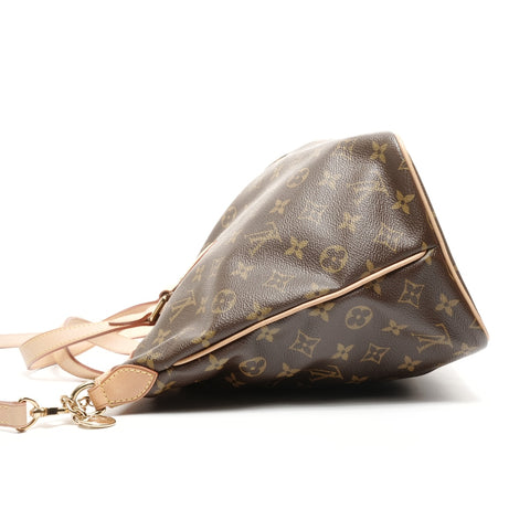 LOUIS VUITTON Palermo PM Monogram 2way bag made in 2009 Handbag Brown WS24940