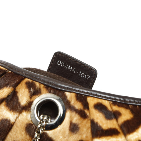 Christian Dior Harako Leopard Handbag Brown WS25295